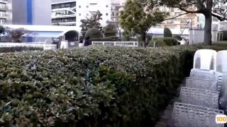 1pondo 010712-252 模型系列选择…108 特别 秋野美咲